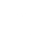 Cancer Center of Hawaii Logo